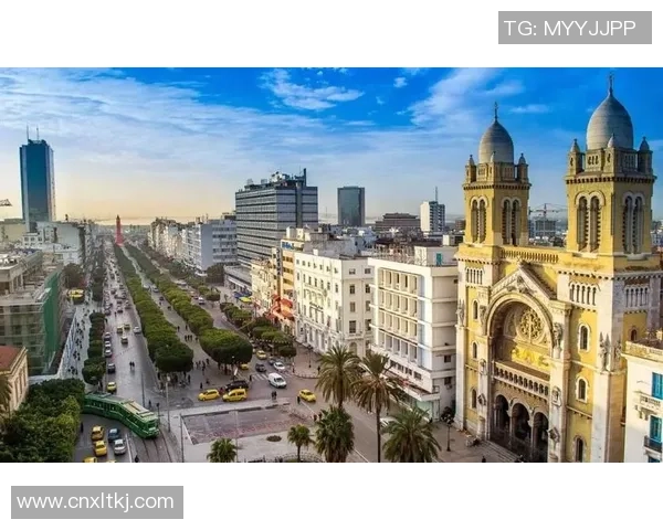 突尼斯足球球星崛起之路展现北非绿茵精神与国家荣耀 突尼斯足球球星崛起之路展现北非绿茵精神与国家荣耀